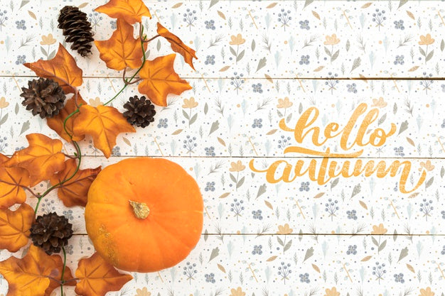Free Top View Of Pumpkin And Leaves On Colorful Background Psd