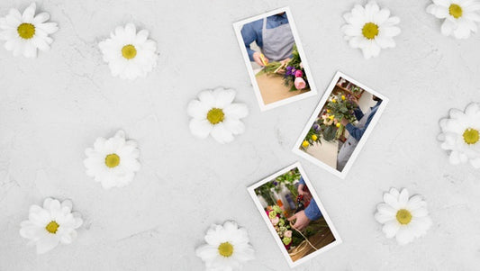 Free Top View Of Spring Chamomile With Photos Psd