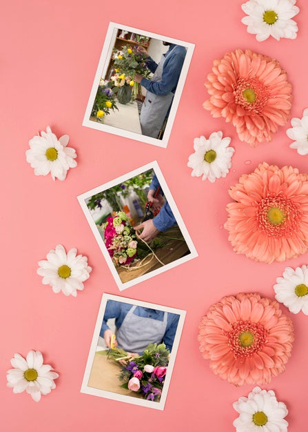 Free Top View Of Spring Daisies With Photos And Chamomile Psd