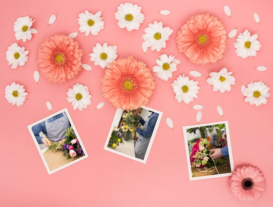 Free Top View Of Spring Daisies With Photos Psd