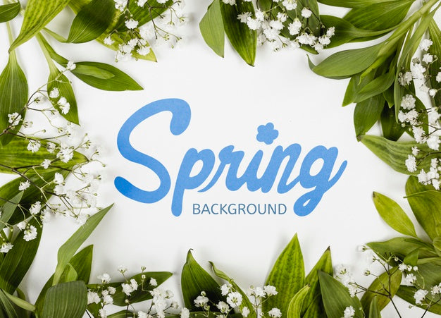 Free Top View Of Spring Flowers With Leaves Psd