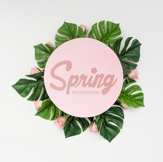 Free Top View Of Spring Roses With Monstera Plant Psd