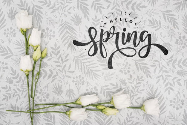 Free Top View Of White Spring Roses Psd