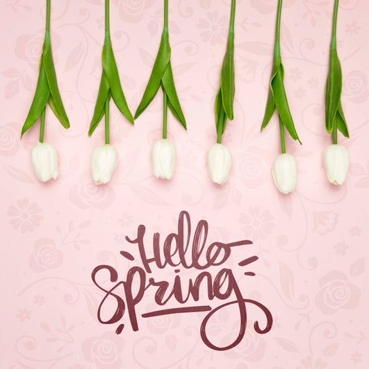 Free Top View Of White Spring Tulips Psd