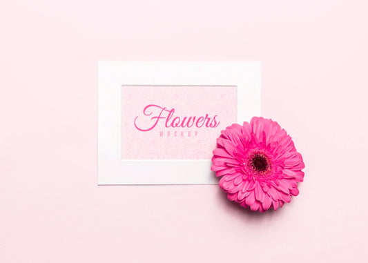 Free Top View Pink Flower With White Frame Psd