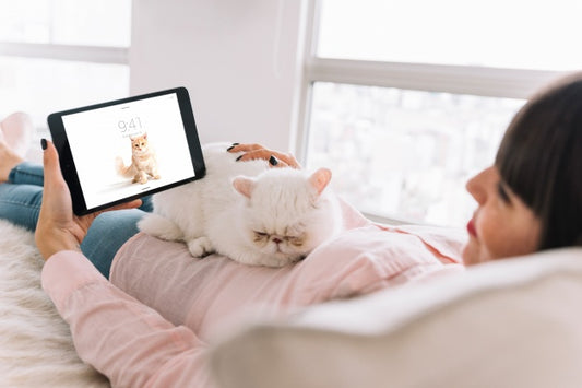 Free Woman On Couch With Cat And Tablet Mockup Psd