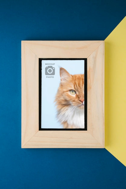 Free Wooden Frame For Pictures Psd